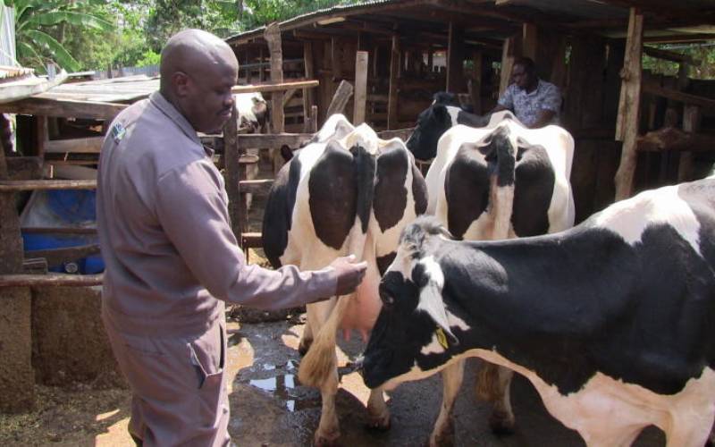 5ILw4fZXeIQmfjanonAXu7fVYbVENIIr722Ajl3e